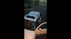 Tahoe bear raids car