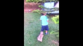 Playful puppy can't help tugging on little boy's shorts