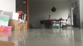 Slow mo: Bengal cat chases after spring