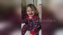Baby can't stop laughing at the word 'booby'