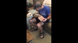 First Time Dad Ugly Cries At Baby Announcement