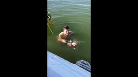 Scout the Mini Pig swims at the Lake