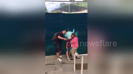 Beluga whale photobombs family