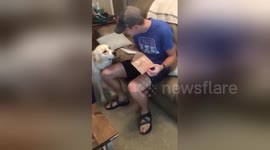 Emotional moment man finds out his wife is pregnant