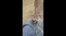 Its ok you can rest on me