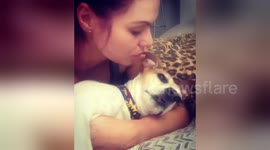 Newsflare Edit - Singing my dog to sleep with Michael Jackson