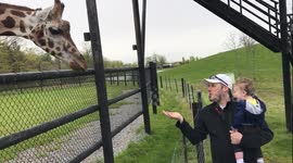 JJ and the giraffe