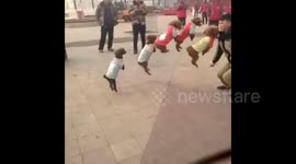 Just five poodles using a skipping rope