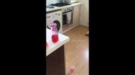 Hide and seek! You'll never find her!