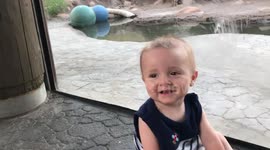 Baby oblivious to lion attacking at zoo