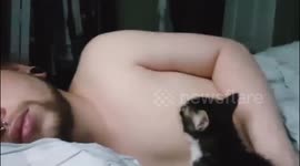 Kitten nurses on man's nipple