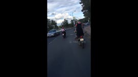 Cute Dog wearing helmet and getting around the city with bike