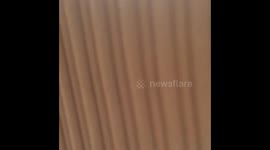 Baby Tina Turner lookalike