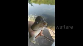 Man catches fish with bird-shaped head