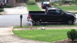 Lazy French bulldog doesn't want to go on her afternoon walk