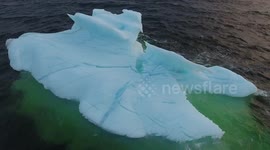 Icebergs near Twillingate, Newfoundland | Drone Footage