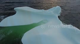Icebergs near Twillingate, Newfoundland | Drone Footage