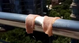 Girl tries to cook sliced meat on railing heated by the sun