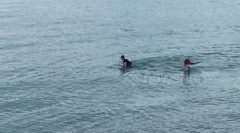Locals rescue disorientated dolphin in Dorset, UK