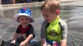 Cute brothers and mom fails