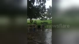 Newsflare Edit - Poor little squirrel hiding from the thunder stor