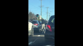 Road rage turns into brawl