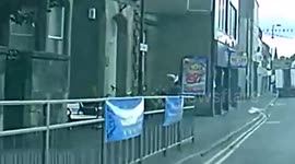 Man man walks around town with a seagull on his head