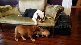 No alone time for mom!
