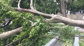 Aftermath of typhoon Nesat in Taipei, Taiwan