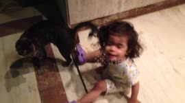 Happy time playing with a cat until...