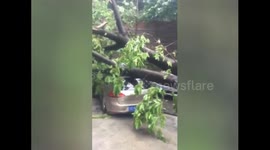 Powerful storm hits southern China