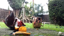 Doritos make the perfect fire-lighters