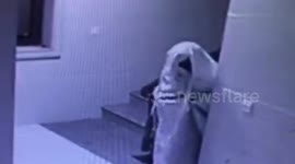 'Thief' disguises himself as ghost to avoid CCTV