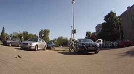 Dog didn't see her owners for a week