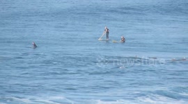 Dolphins share waves with surfers off South African coast