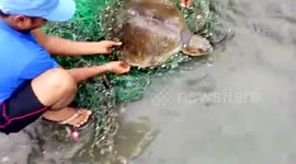 Locals rescue sea turtle caught in net