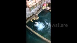 Crazy Kid Jumps Off Second Floor of West Edmonton Mall