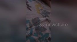 Newsflare Edit - Baby sings herself a lullaby