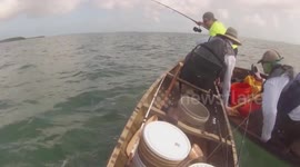 Florida fishermen in shock as bull shark repeatedly rams their kayaks