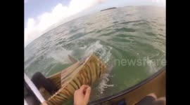 Huge shark repeatedly attacks fishermen in canoe off Florida coast