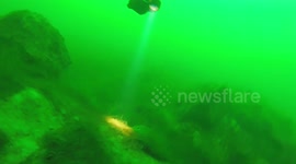 Pike fishing by hands.Russian nesting doll