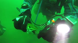 Scuba fisherman finds live fish inside a larger fish