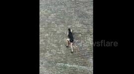 Real-life Spiderman climbs vertical brick wall