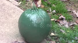 Halloween Ninja Turtle Pumpkin, DIY Life Hacks
