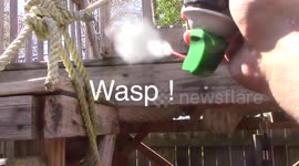 How To Freeze Bugs Redneck Life Hack