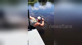 Fearless tour guide kisses wild alligator