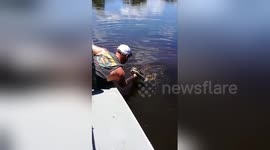 Fearless tour guide kisses wild alligator