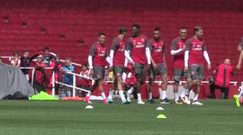 Alexis Sanchez kisses Arsenal badge