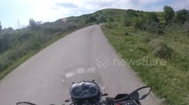 Dog rescued from certain suffocation