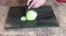 Crazy Hair Pic Redneck Life Hack